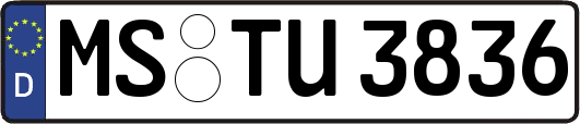 MS-TU3836