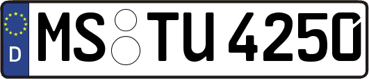 MS-TU4250