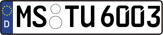 MS-TU6003