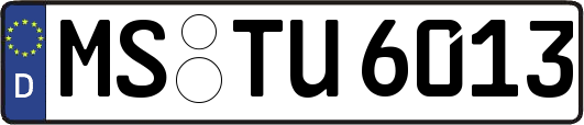 MS-TU6013