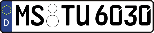 MS-TU6030