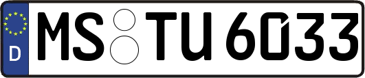 MS-TU6033