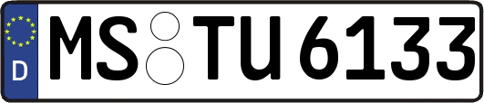 MS-TU6133