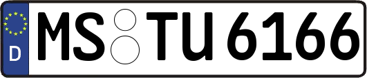 MS-TU6166