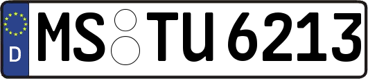 MS-TU6213