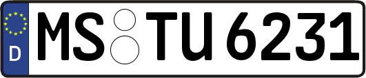 MS-TU6231