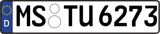 MS-TU6273