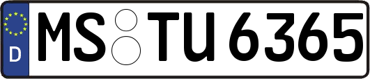 MS-TU6365