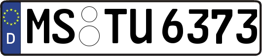 MS-TU6373