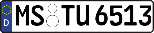 MS-TU6513