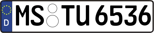 MS-TU6536