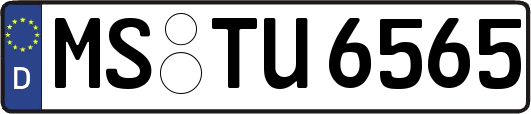 MS-TU6565