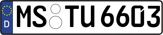MS-TU6603