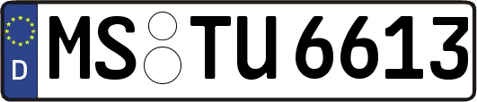 MS-TU6613