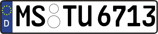 MS-TU6713