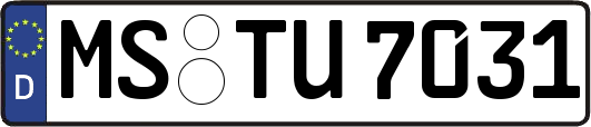 MS-TU7031