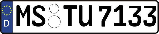 MS-TU7133