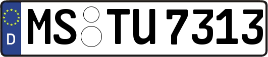 MS-TU7313