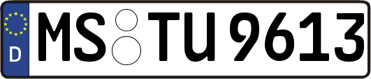 MS-TU9613