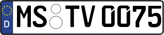 MS-TV0075