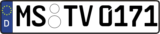 MS-TV0171