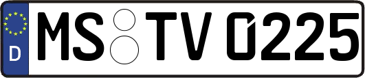 MS-TV0225