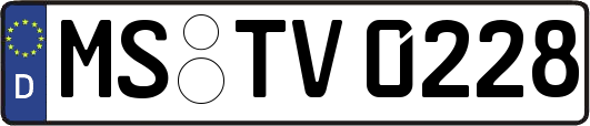 MS-TV0228