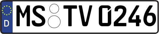 MS-TV0246