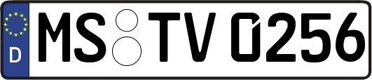 MS-TV0256