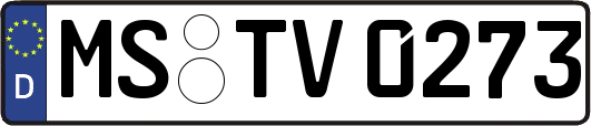 MS-TV0273