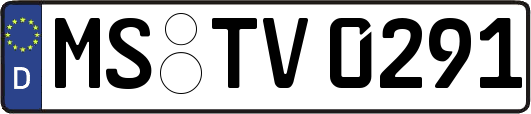 MS-TV0291