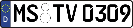 MS-TV0309
