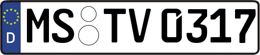 MS-TV0317