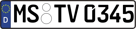 MS-TV0345