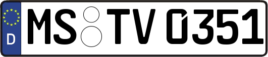 MS-TV0351