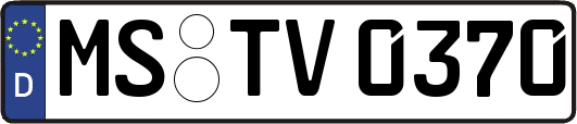 MS-TV0370