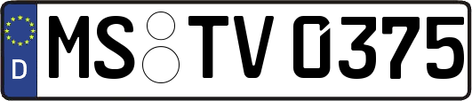MS-TV0375
