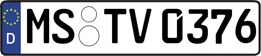 MS-TV0376