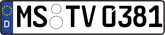 MS-TV0381