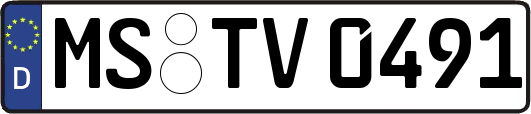 MS-TV0491