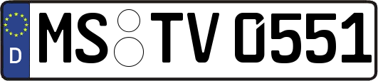 MS-TV0551