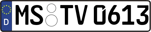 MS-TV0613