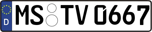 MS-TV0667