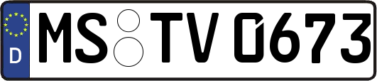 MS-TV0673