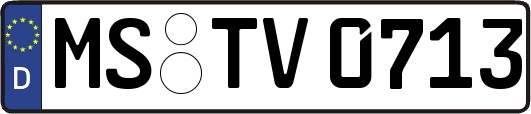 MS-TV0713