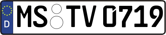 MS-TV0719