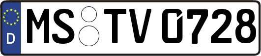 MS-TV0728