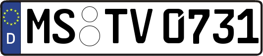 MS-TV0731
