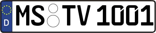 MS-TV1001