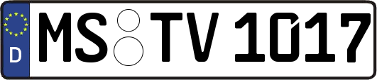 MS-TV1017